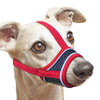 A light-colored dog wearing a red and blue reflective soft muzzle for protection.