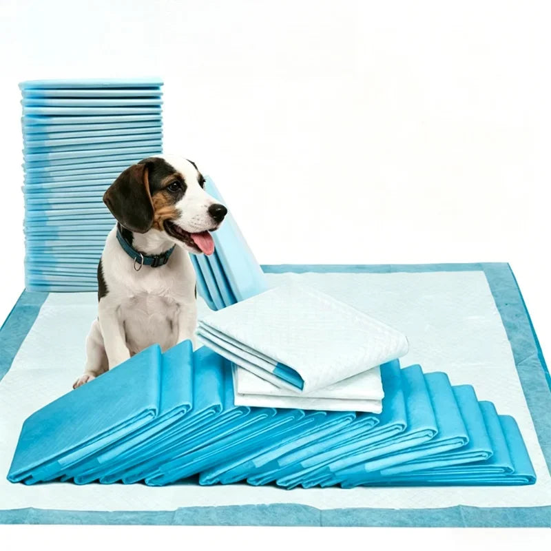 A dog is looking at a stack of blue ultra-absorbent pet pee training pads on a light blue surface.