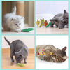 A set of organic catnip cactus toys featuring various colored and shaped cacti for cats.