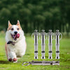 Un chien blanc duveteux court à côté d'un sifflet pour chien en acier inoxydable réglable.