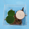 A clear container holds a mini magnetic spider hide decor featuring green and natural wood circular elements.