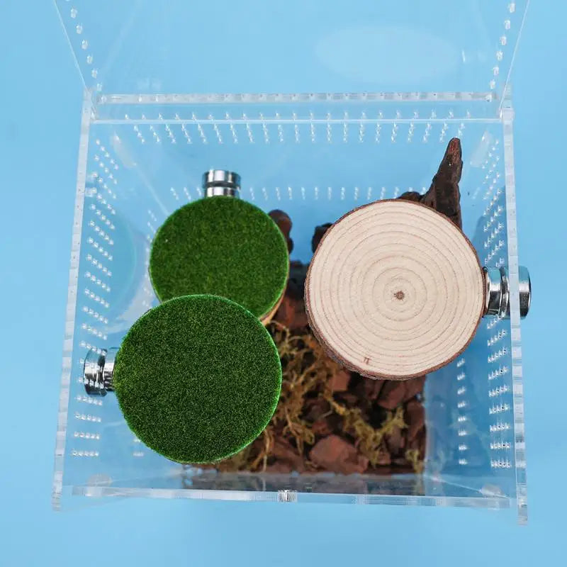 A clear container holds a mini magnetic spider hide decor featuring green and natural wood circular elements.
