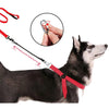 A black dog wearing a red nylon quick-release leash with an elastic extension, shown alongside a close-up of the leash mechan