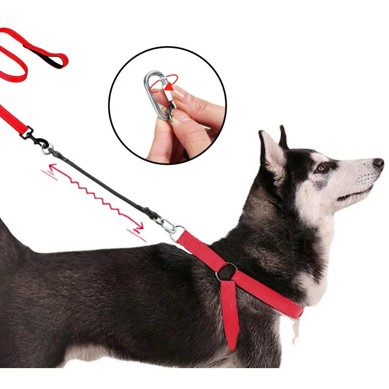 A black dog wearing a red nylon quick-release leash with an elastic extension, shown alongside a close-up of the leash mechan