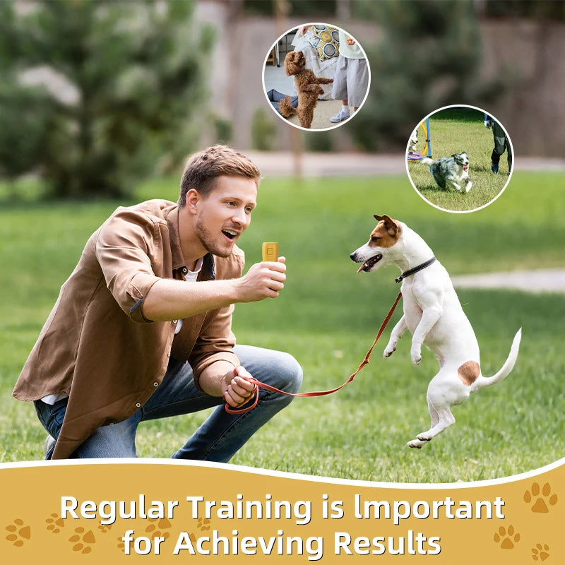 A man is training a white dog outdoors with a leash on a grassy field.
