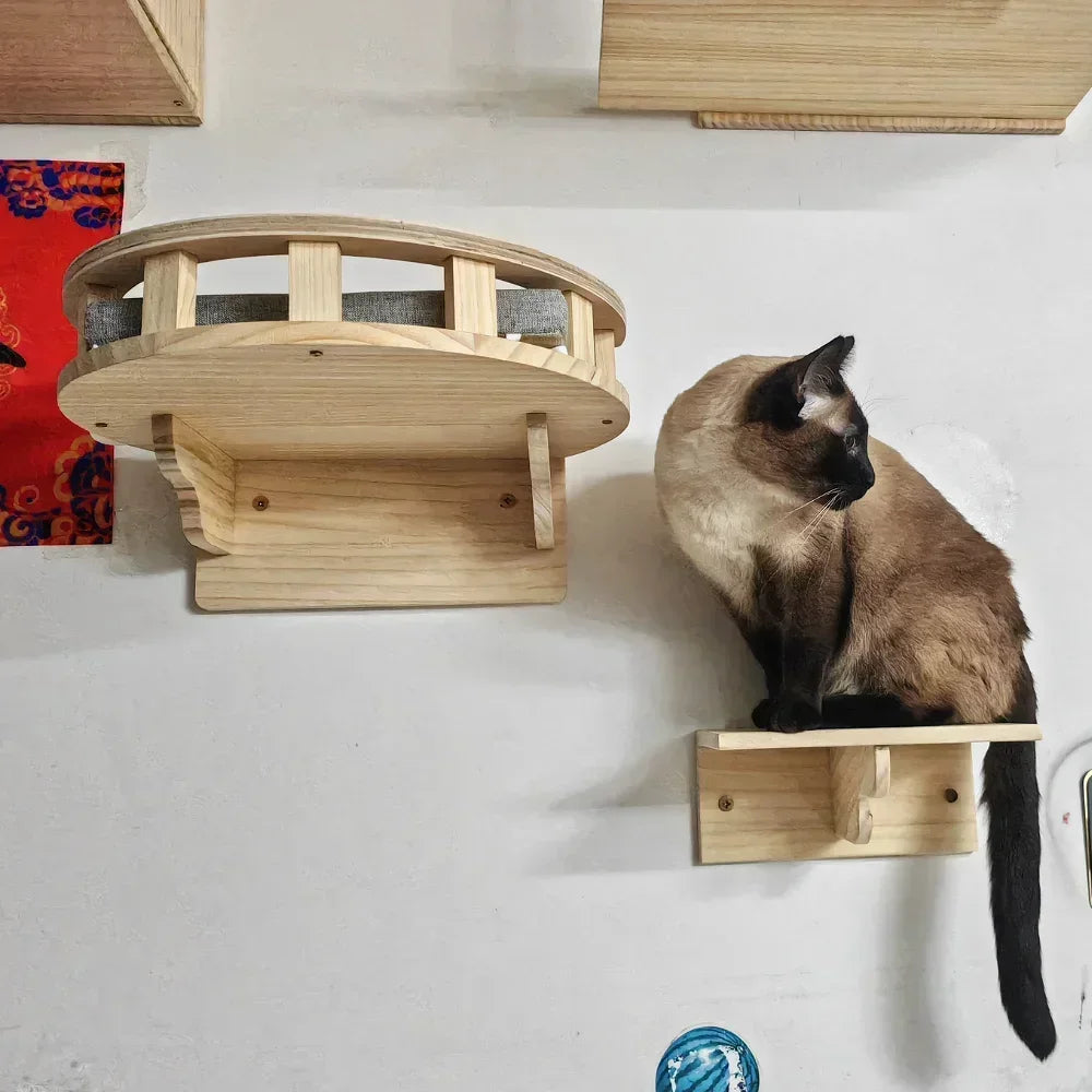 A natural wooden cat wall shelf with a climbing perch is mounted on a white wall.