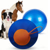 A blue and orange interactive herding ball is shown next to a dog and a horse.
