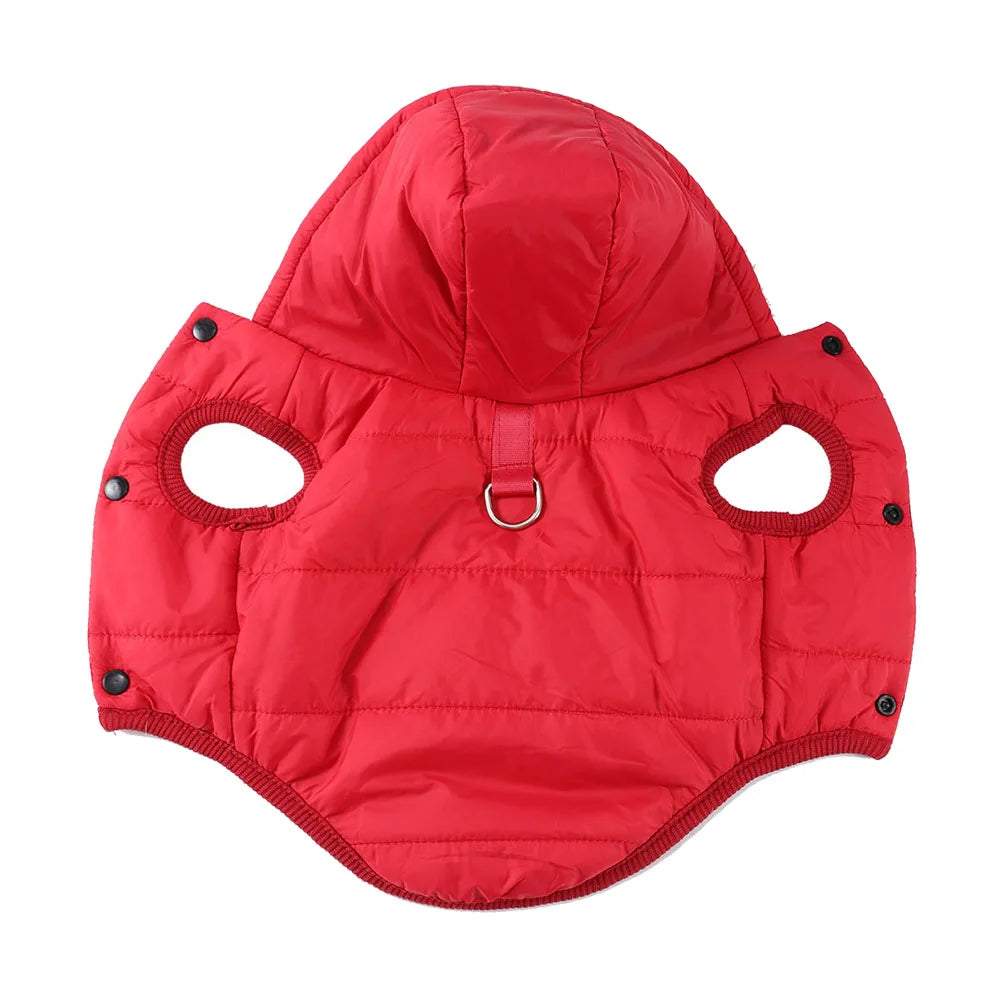 A bright red quilted hooded jacket for a dog.