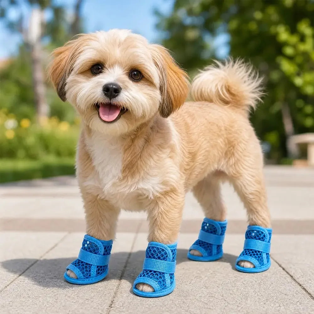 A light tan dog wearing blue breathable mesh shoes standing outdoors.