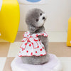 A small gray poodle wearing a white dress with red strawberry patterns sitting on a white surface.