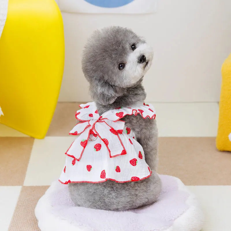 A small gray poodle wearing a white dress with red strawberry patterns sitting on a white surface.