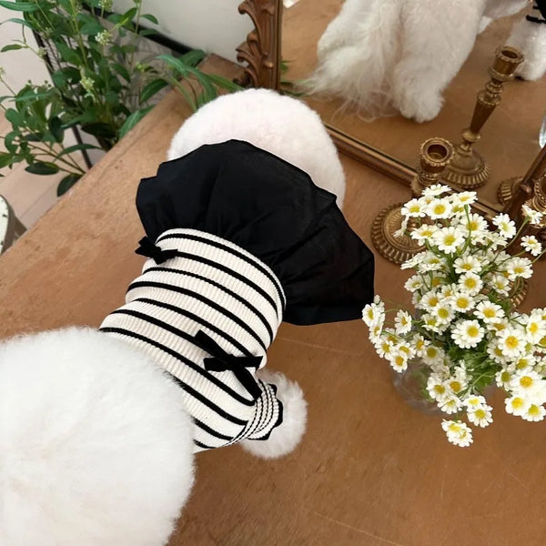 A black striped dog dress with a spring bow collar and flying sleeves displayed next to white faux fur and yellow flowers.