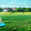 Two dogs jumping in a blue splash pad on a green lawn under a bright sky.