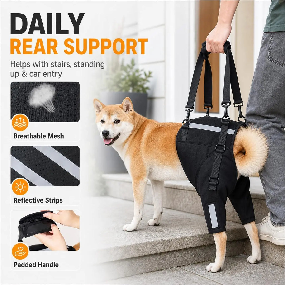 A dog wearing a black harness with reflective strips and a padded handle is shown on stairs.