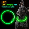 Un chien noir portant un collier de charge USB LED vert lumineux avec trois modes de lumière.