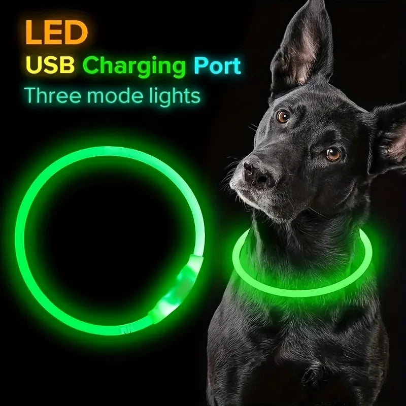 Un chien noir portant un collier de charge USB LED vert lumineux avec trois modes de lumière.