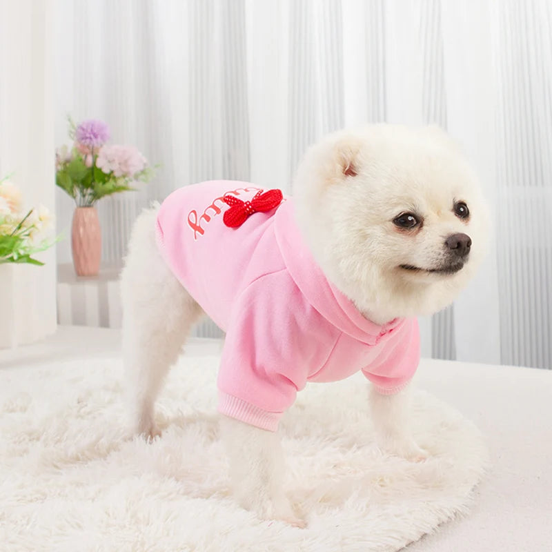 A fluffy white dog wearing a pink hoodie with a red bow, sitting on a white rug.