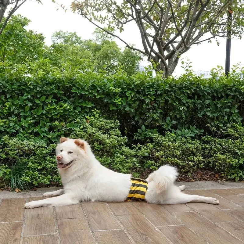 A white dog lying on a paved surface in front of a green hedge and tree.