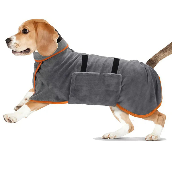 A tan dog wearing a gray absorbent bathrobe with orange trim and black straps.