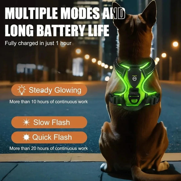 A brown dog wearing a glowing green LED harness, demonstrating multiple modes and long battery life.