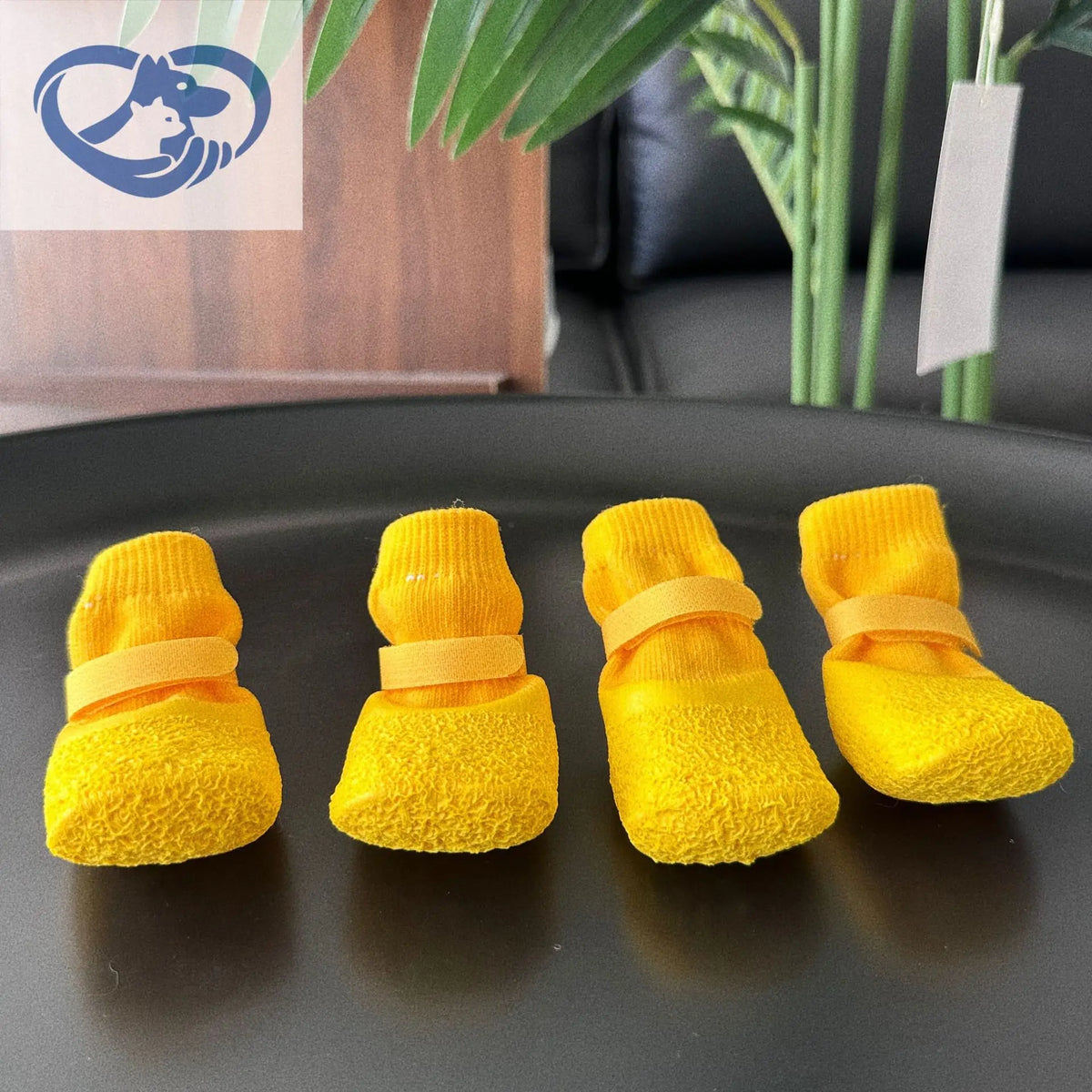 Four bright yellow waterproof anti-slip dog socks displayed on a dark plate.