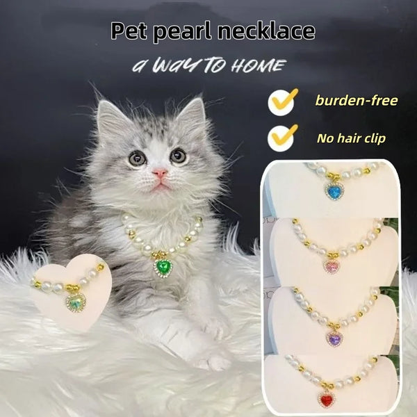 A fluffy gray kitten wearing a pearl necklace, displayed next to various options of pet pearl necklaces.