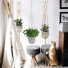 A collection of macrame plant hangers featuring various sizes and styles hanging against a white wall.