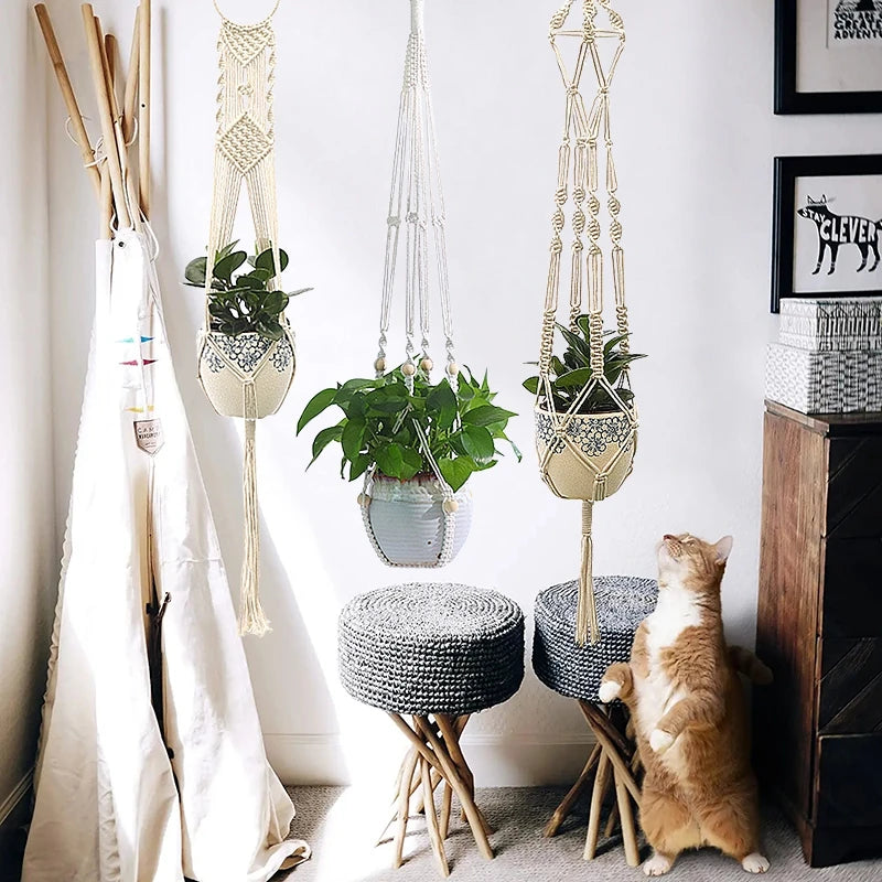A collection of macrame plant hangers featuring various sizes and styles hanging against a white wall.