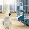 Un perroquet blanc nourri d'un distributeur automatique bleu pour oiseaux.