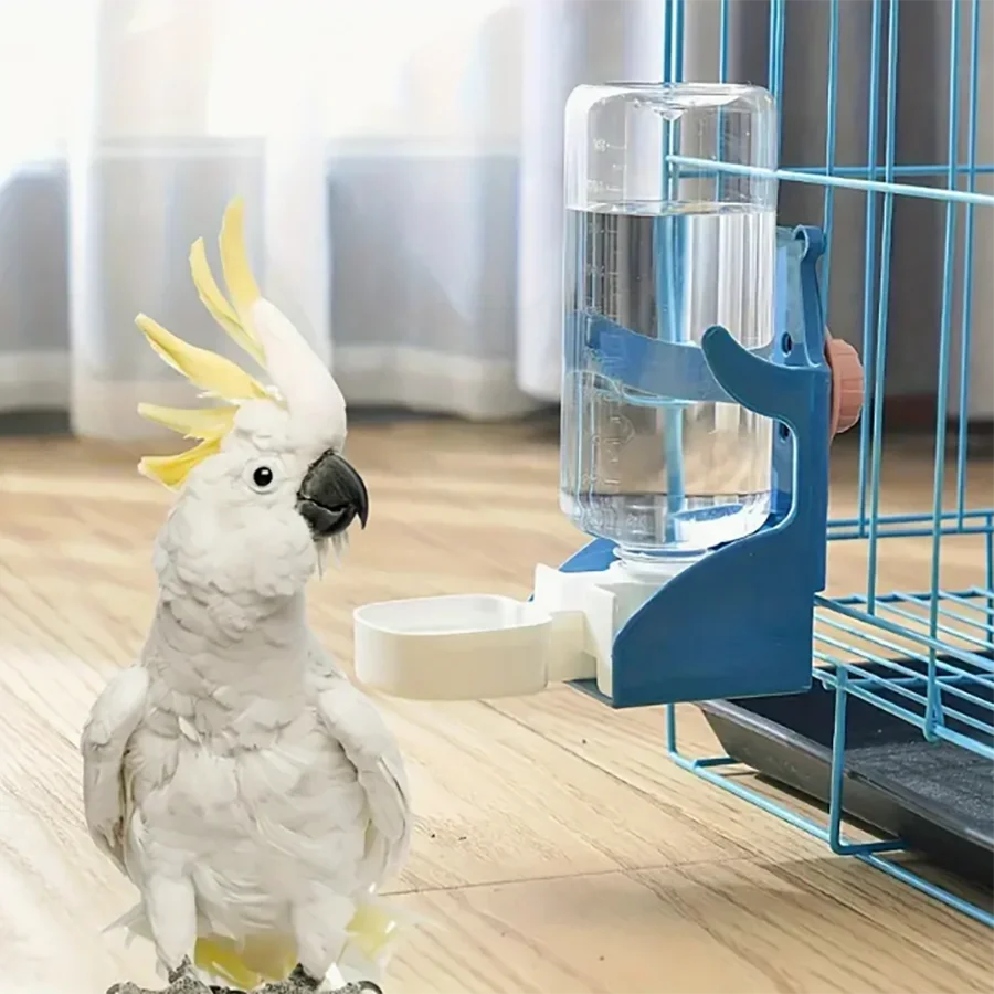 Un perroquet blanc nourri d'un distributeur automatique bleu pour oiseaux.