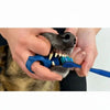 Hands holding a silicone pet toothbrush designed for dogs and cats, showing the bristles and teeth.