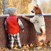 A small dog stands next to a wooden barrier looking at a child wearing a red quilted vest.