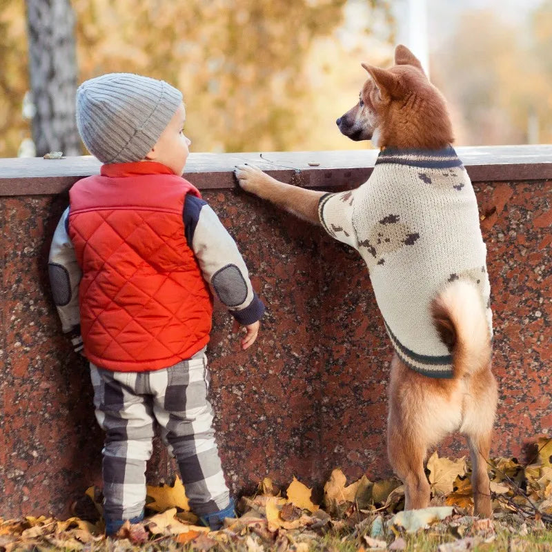 A small dog stands next to a wooden barrier looking at a child wearing a red quilted vest.
