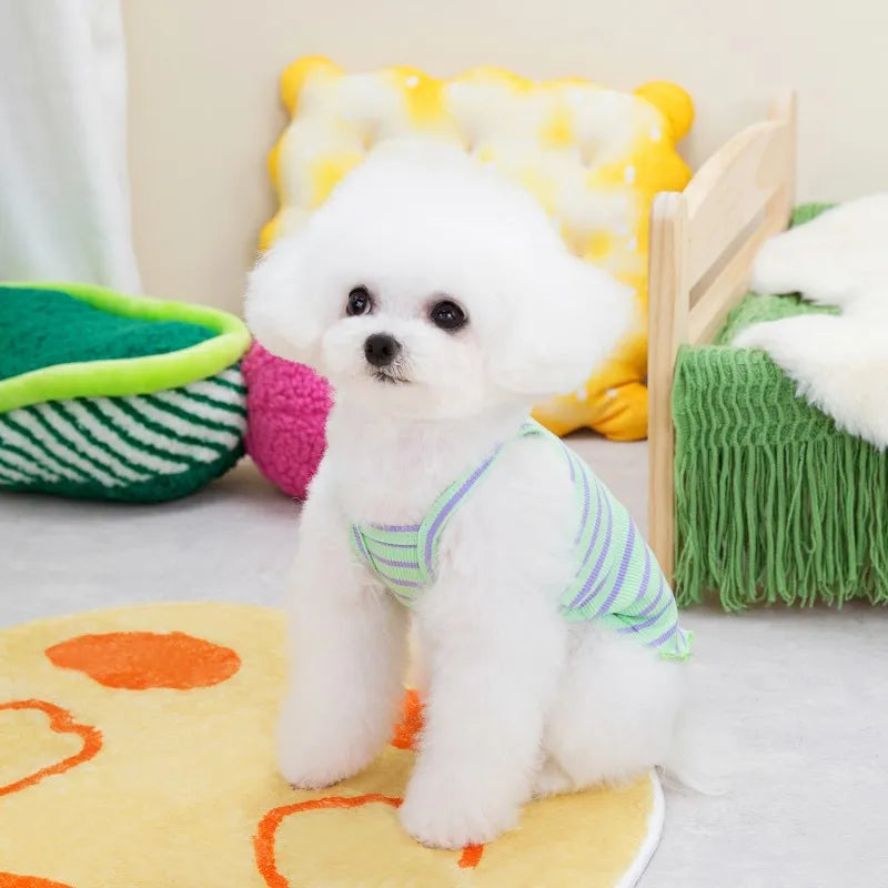 A fluffy white puppy wearing a light green and purple floral print vest sitting on a yellow mat.
