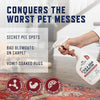 A hand holds a white spray bottle of pet enzyme stain odor eliminator near a rug, with text promising to conquer pet messes.