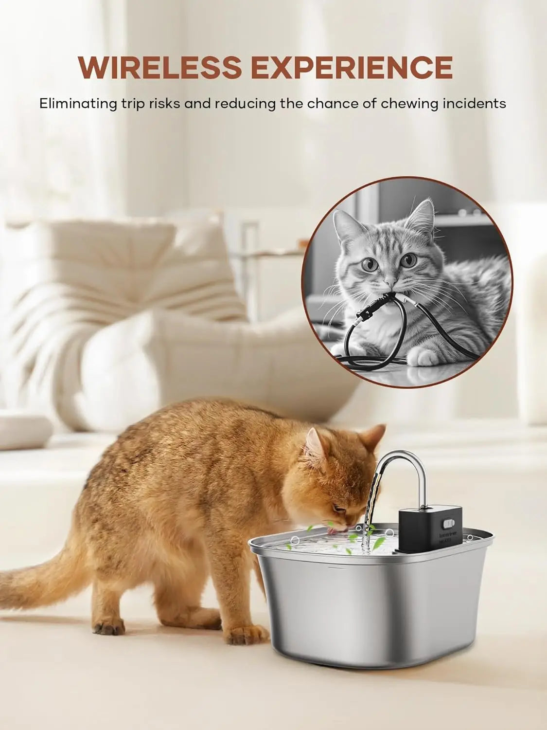 A tabby cat is drinking water from a stainless steel cat water fountain with a smart sensor.