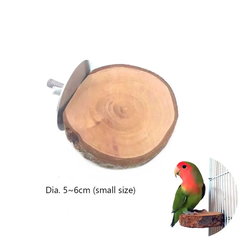 Coupe transversale d'un jouet à mâcher et perchoir en bois naturel, montrant le grain et la surface coupée.