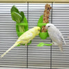 Two white and yellow parrots feeding from green bowls containing seeds and cuttings on a black wire stand.