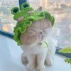 A fluffy white cat wearing a green knitted pet hat with pink accents, sitting by a window.