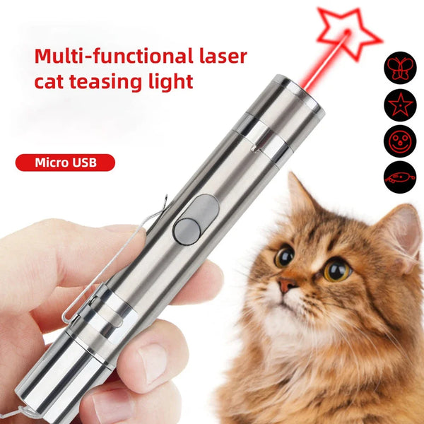 A hand holds a multi-functional laser cat teasing light device, pointing a red beam at a cat.