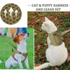 A white cat wearing a green mesh harness and leash set outdoors on a grassy area.