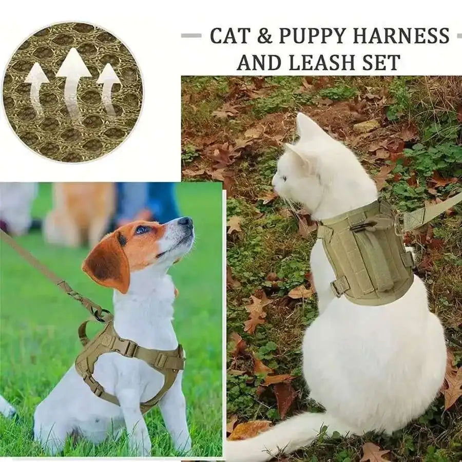 A white cat wearing a green mesh harness and leash set outdoors on a grassy area.