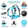 Blue everyday harness for pets featuring zinc alloy leashes, snap buckles, and a soft padded handle.