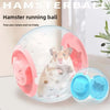 A light blue plastic ball with pink accents is shown containing a hamster, used for exercise and play.