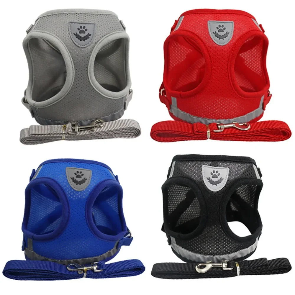 Three adjustable harness options for cats and small dogs in gray, red, and blue with matching leashes.