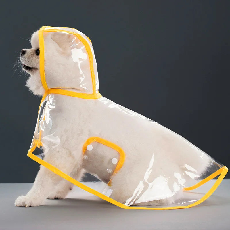 Ein helles Hundekleid trägt einen transparenten, wasserdichten Regenmantel mit gelbem Zierrand.