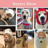 A collage of dogs wearing cozy knit ear muffs for winter warmth and anxiety relief.