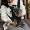 A person is holding a gray kitten inside an adjustable black carrier backpack while sitting outdoors.