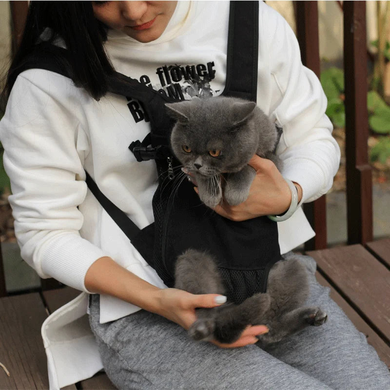 A person is holding a gray kitten inside an adjustable black carrier backpack while sitting outdoors.
