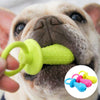 A light-colored dog is holding a bright green squeaky chew toy, with other colorful toys visible in the background.